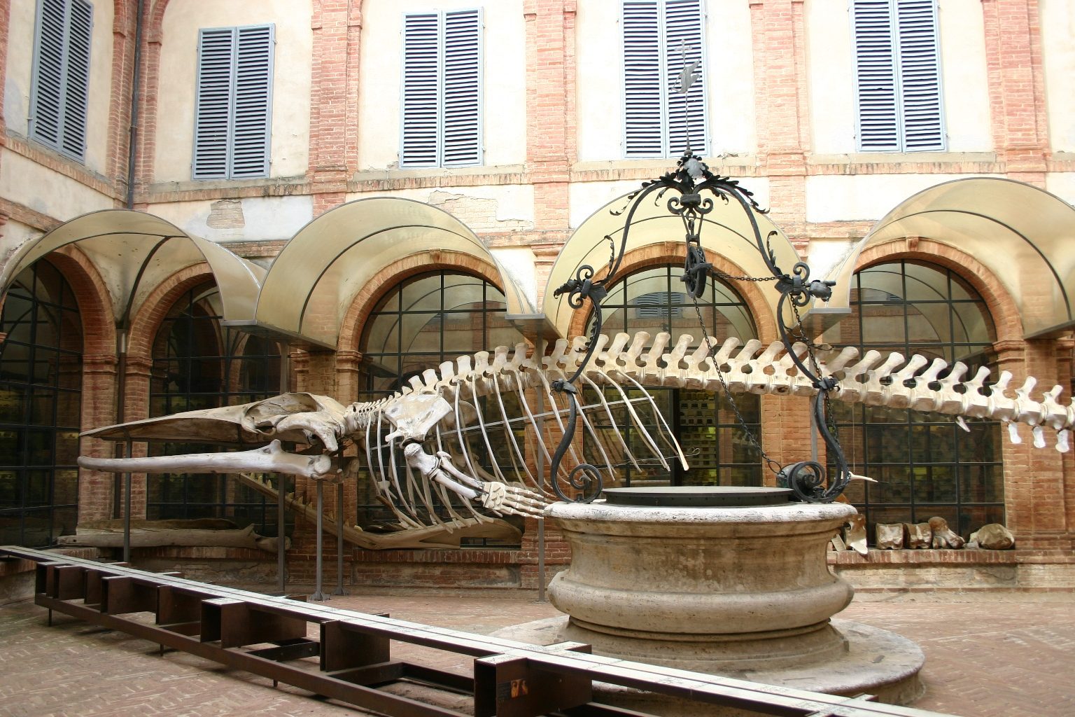 Accademia dei Fisiocritici, Siena, Italy - 04.JPG