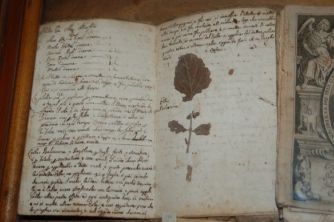 Antica%20Spezieria%20Santa%20Maria%20della%20Scala%20%2826%29.jpg