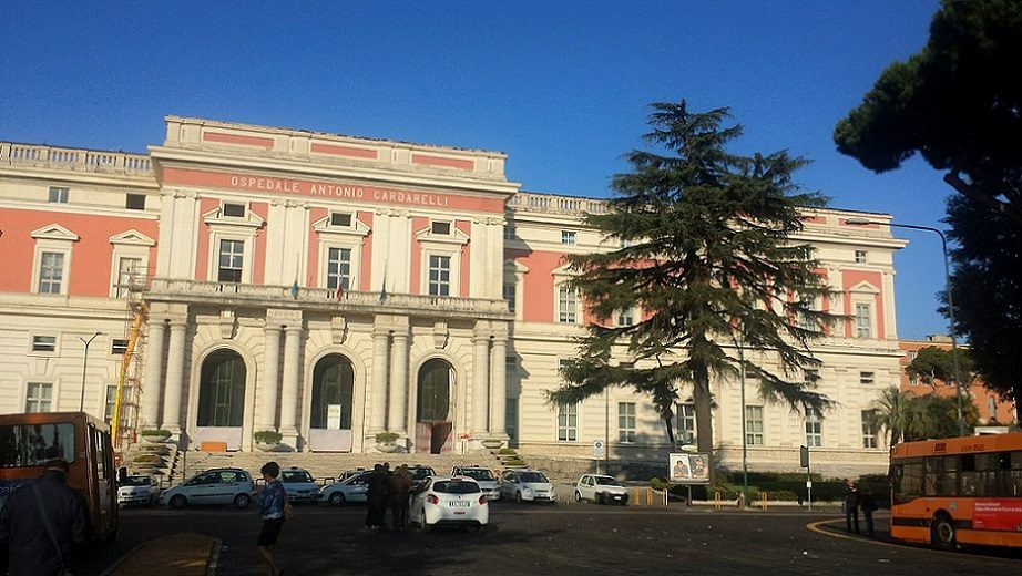 Antonio Cardarelli's Hospital 0.jpg