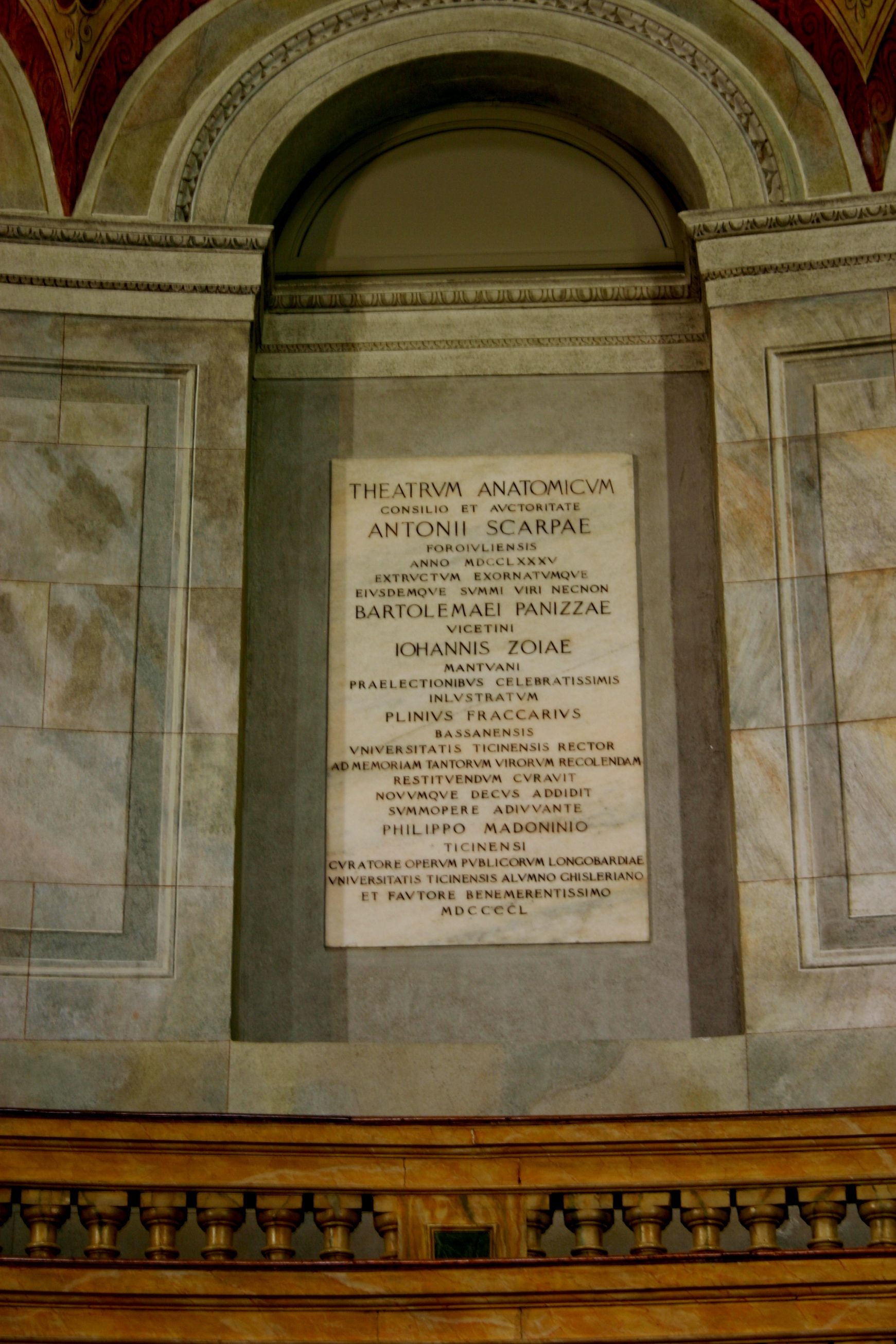 Aula Scarpa, Pavia (39).JPG