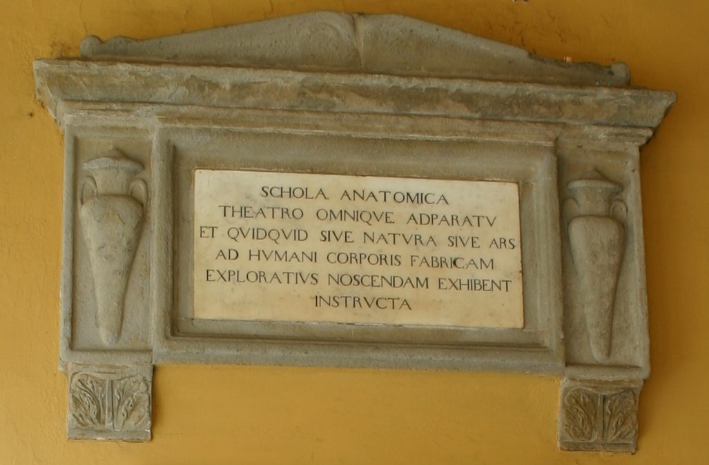 Aula Scarpa, Pavia - 02.JPG