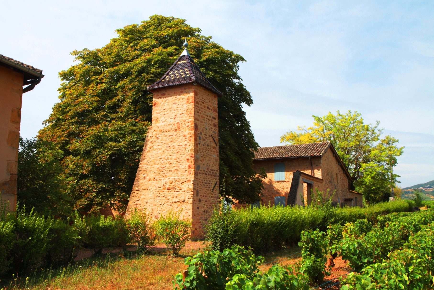 Claude%20Bernard%27s%20birthplace%2C%20Saint%20Julien%20-%2001.JPG