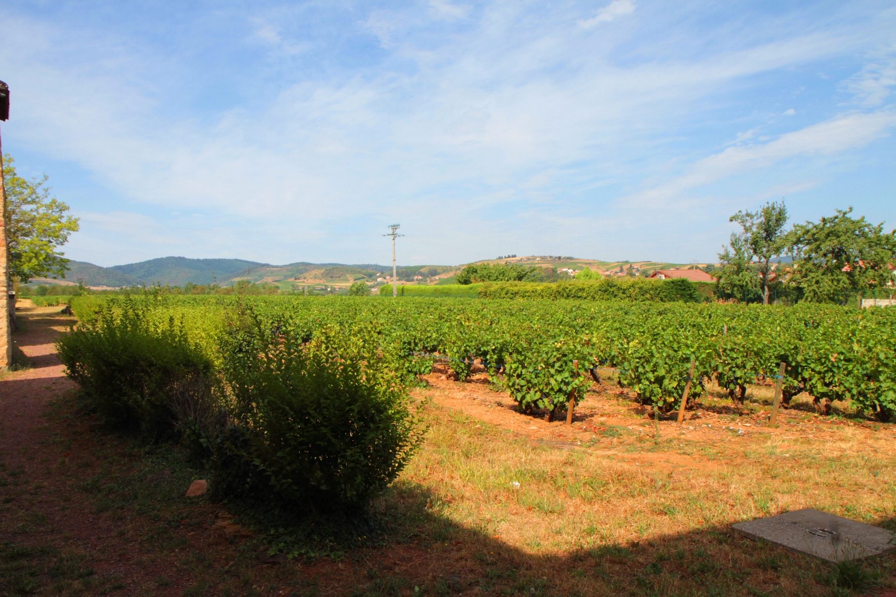 Claude%20Bernard%27s%20birthplace%2C%20Saint%20Julien%20-%2012.JPG