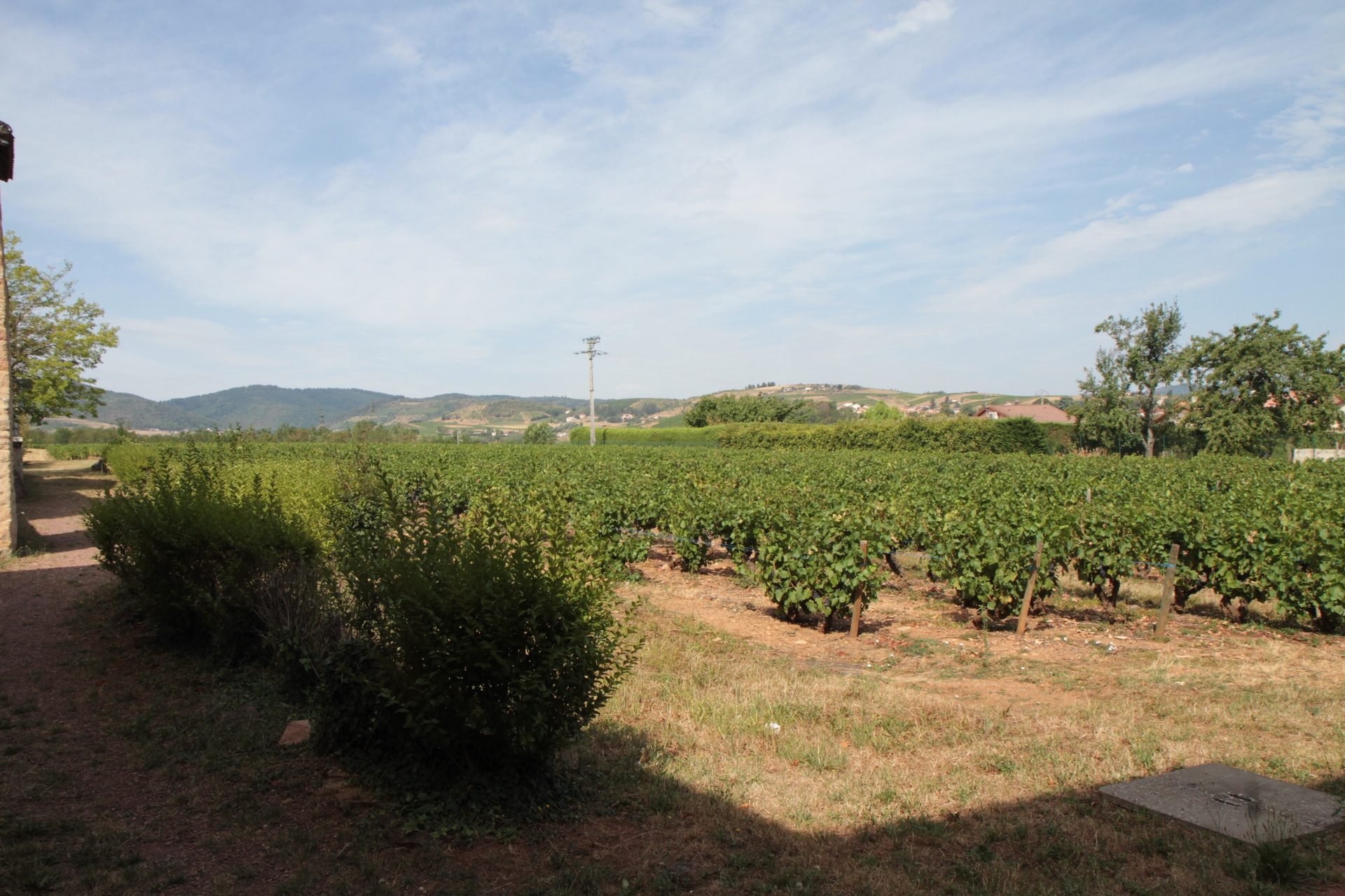 Claude%20Bernard%27s%20home-museum%2C%20Saint-Julien%20-%2003.JPG
