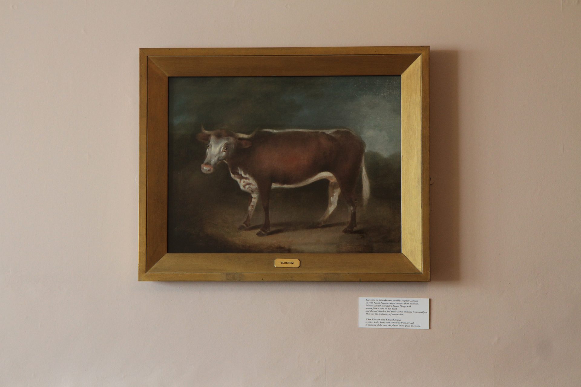 Edward%20Jenner%27s%20House%20and%20Museum%2C%20Berkeley%2C%20UK%20%2812%29.JPG
