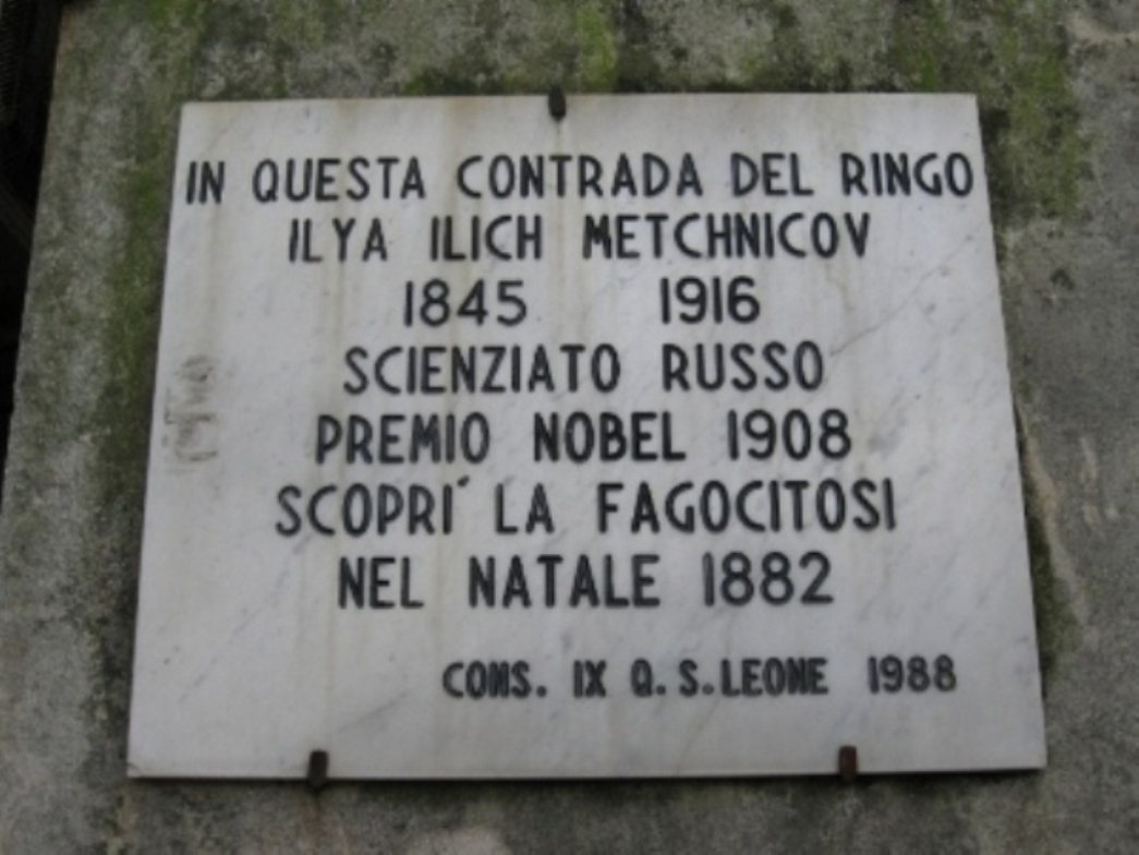 Immagine 001.jpg