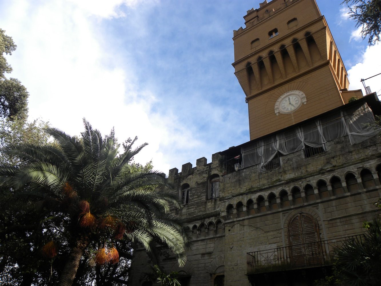 DSCN1536.JPG
