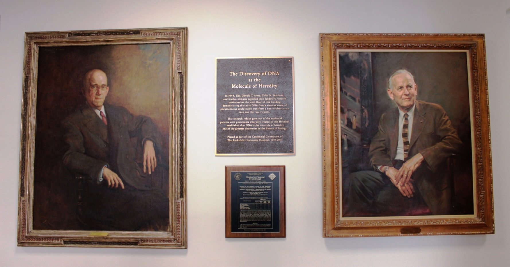Rockefeller%20University%2C%20Flexner%20Hall%2C%20New%20York%20-%2003.JPG