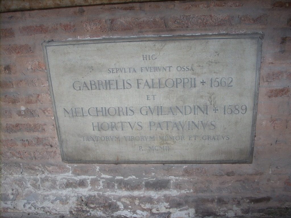 GFalloppiaAndMGuilandiniTombsPadua4.JPG