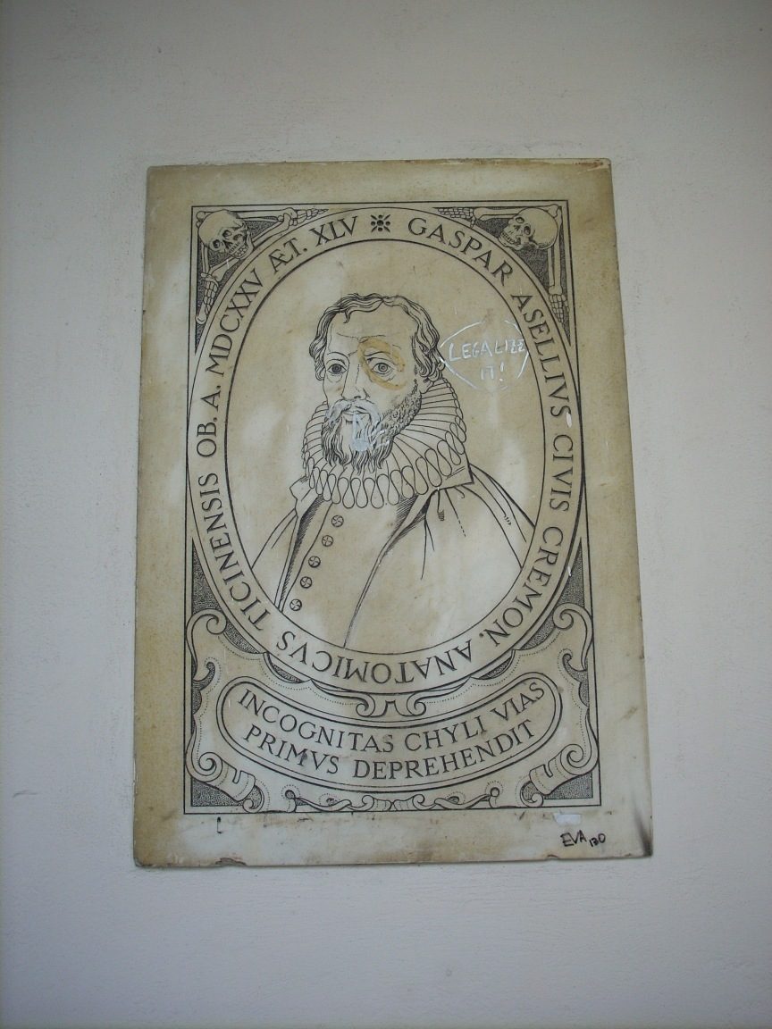 GaspareAselliTabletPavia.jpg
