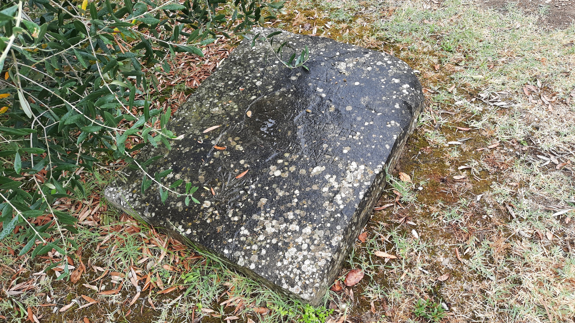 Giovanni Meyer's funeral monument, Florence - 02.jpg