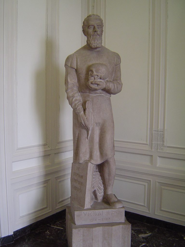 IMSS, Chicago, 2 - Andreas Vesalius statue.jpg