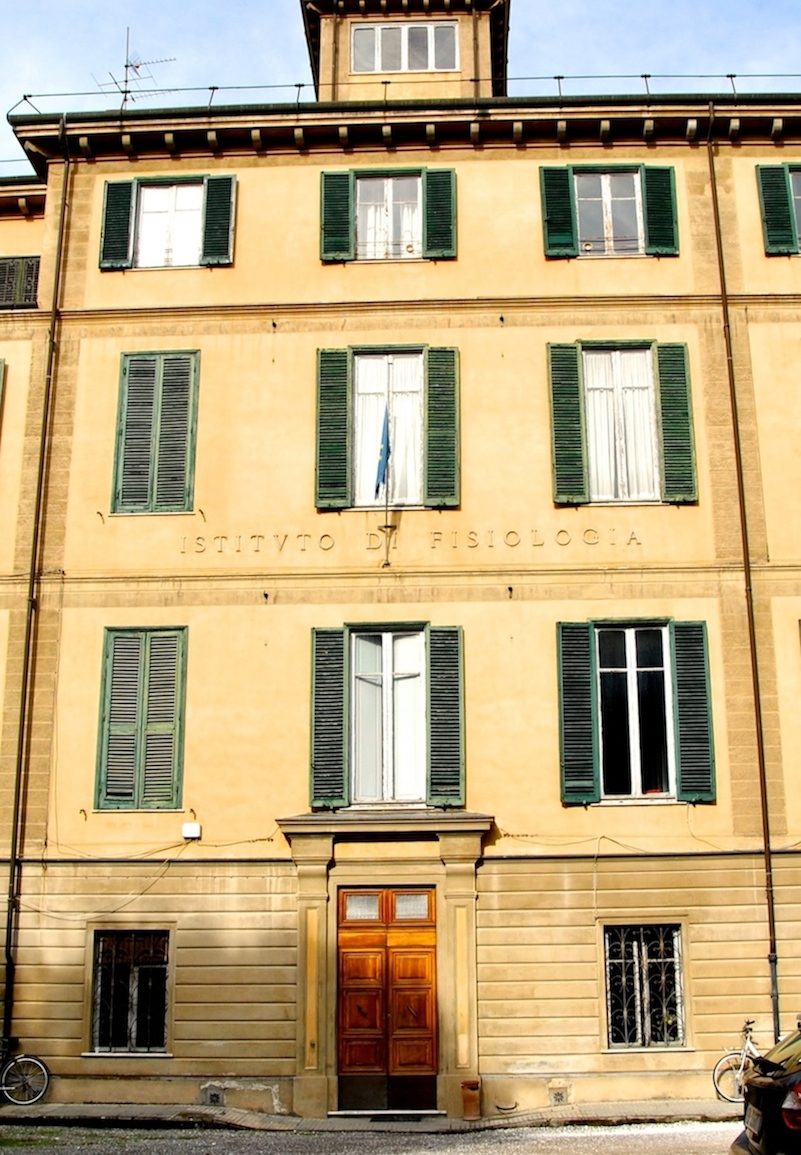istituto%20di%20fisiologia.JPG
