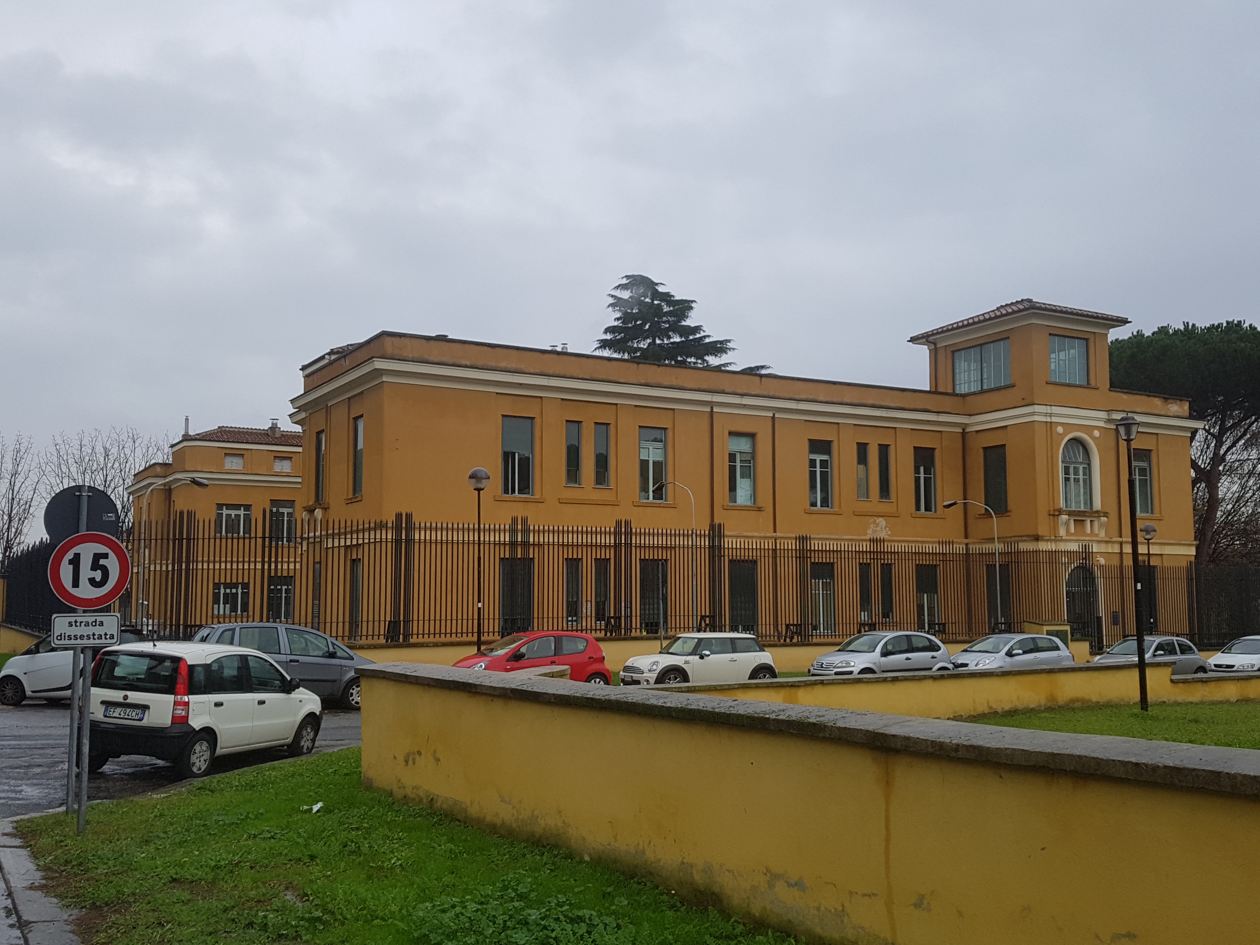 Foto Spalla.jpg