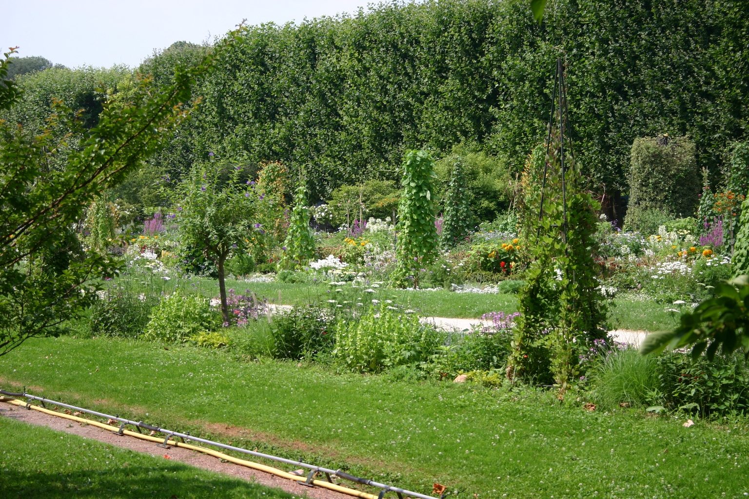 Jardin des Plants, Paris - 03.JPG