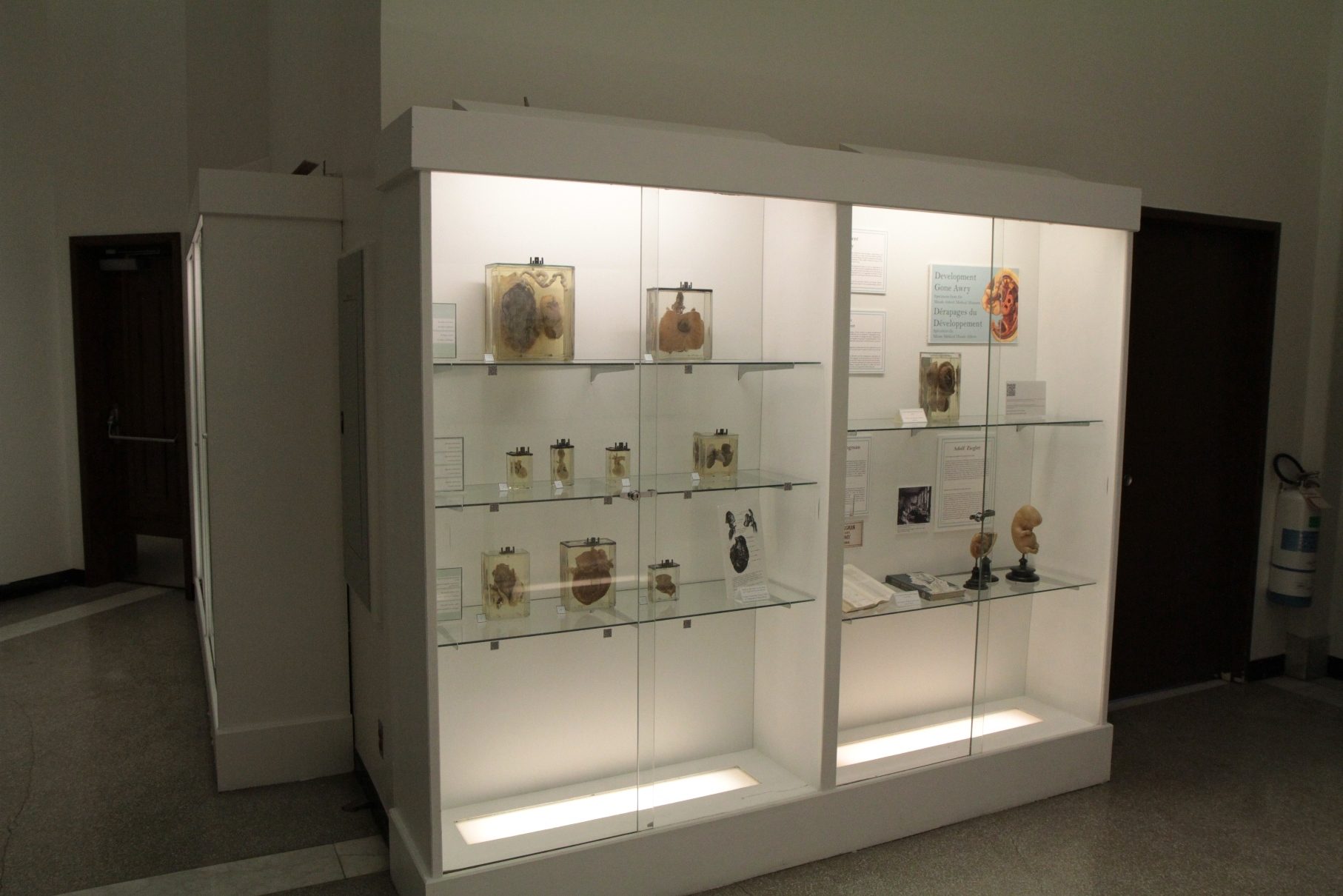 Maude%20Abbott%20Medical%20Museum%2C%20Stratchona%20Building%2C%20McGill%20University%2C%20Montreal%20-%2008.JPG