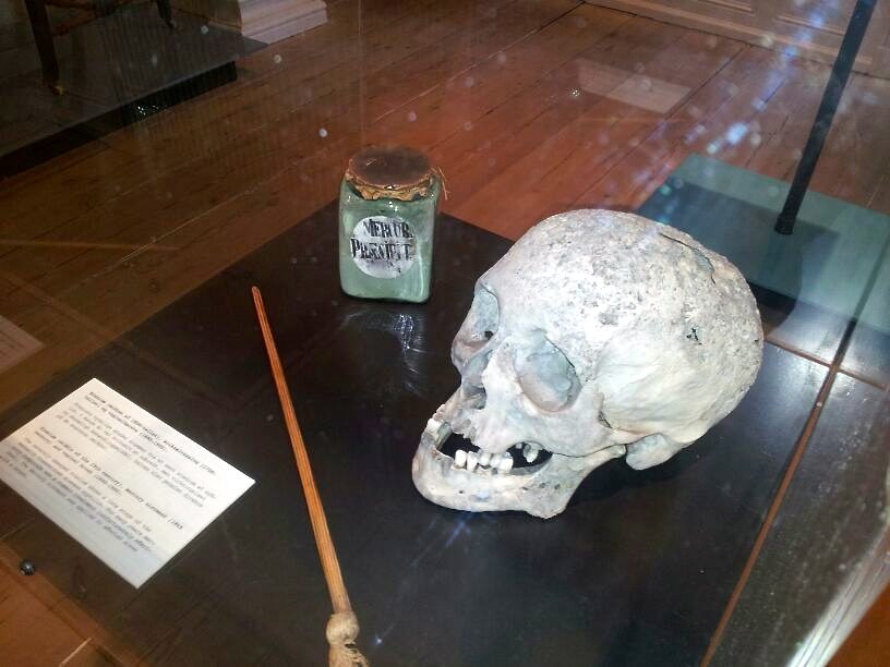 Medical%20Museion%2C%20Copenhagen%20-%2007.jpg