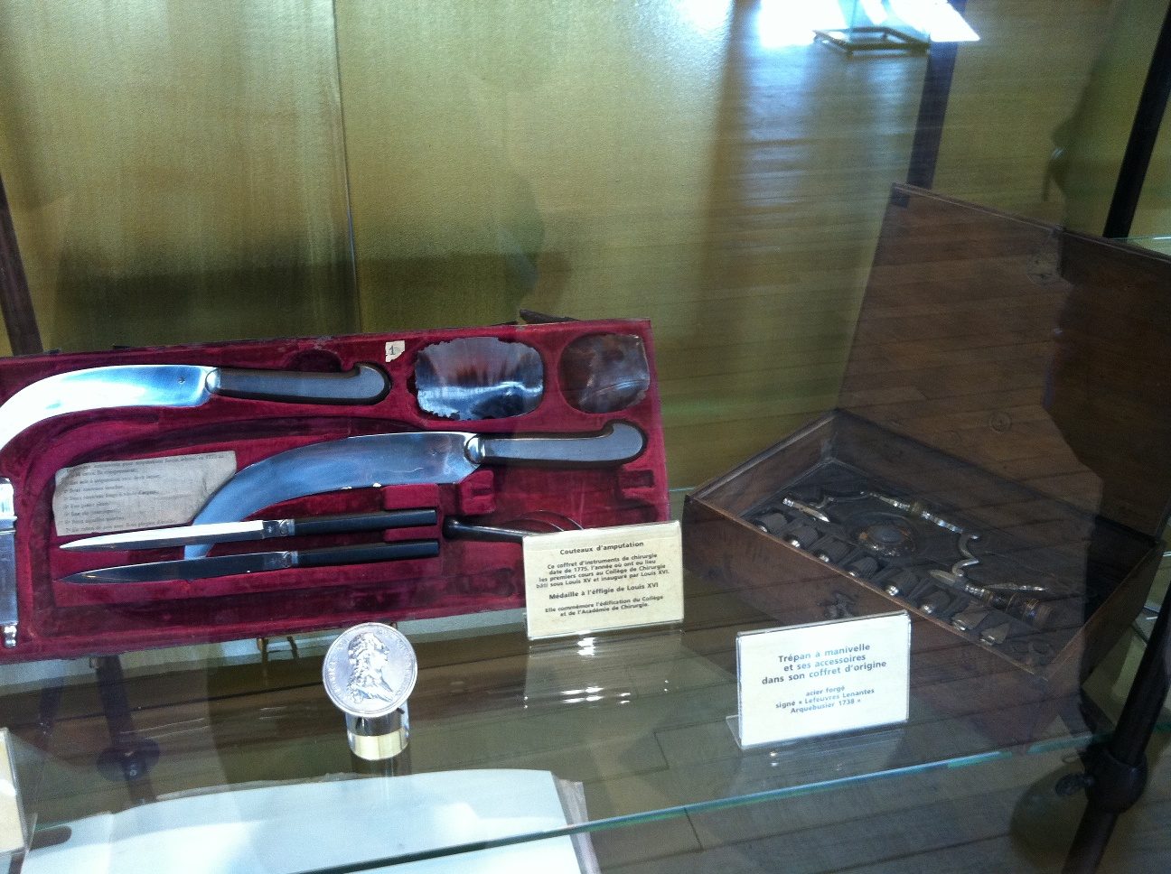 Musee d'Histoire de la Medecine, Paris by Rosa Longo - 06.JPG