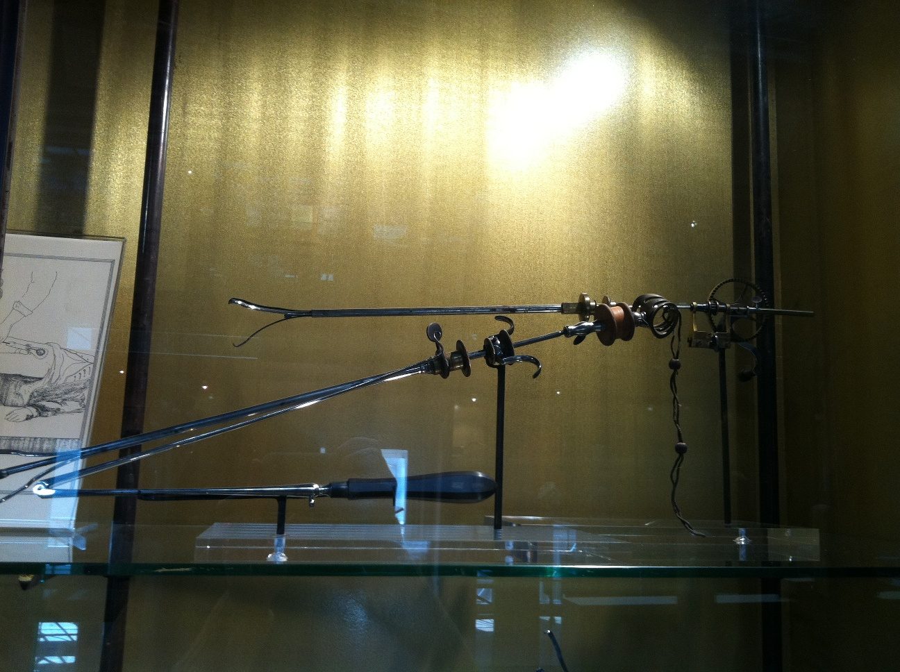 Musee d'Histoire de la Medecine, Paris by Rosa Longo - 07.JPG
