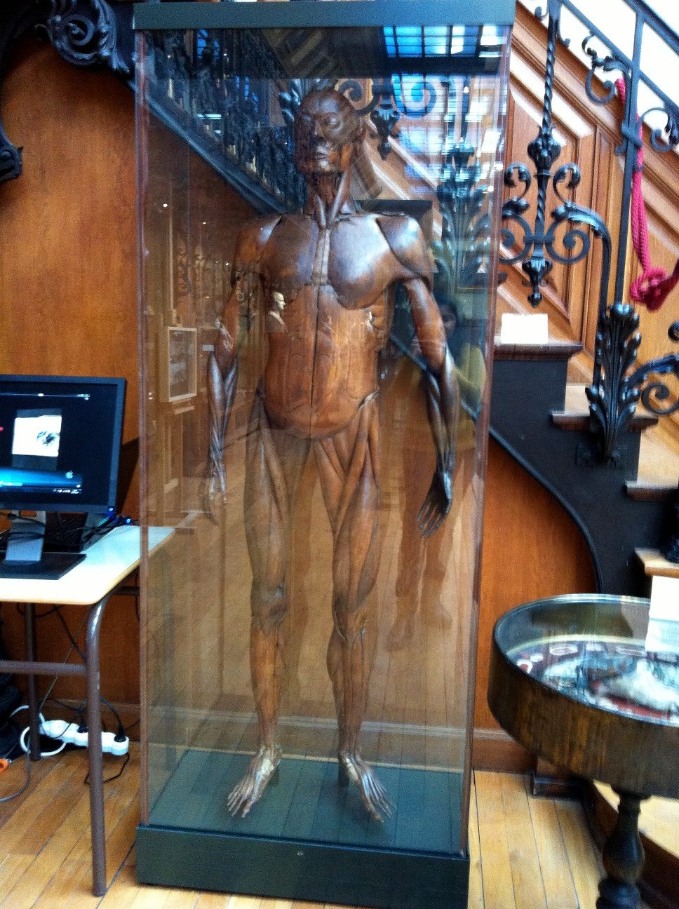 Musee d'Histoire de la Medecine, Paris by Rosa Longo - 09.jpg