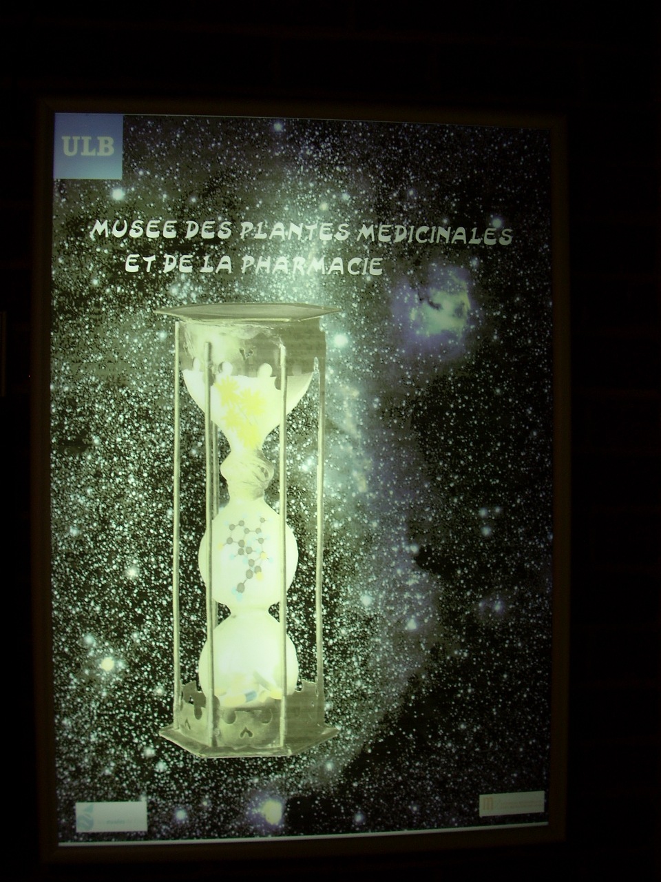 Musée des plantes médicinales et de la Pharmacie, ULB, Brussels - 01.JPG
