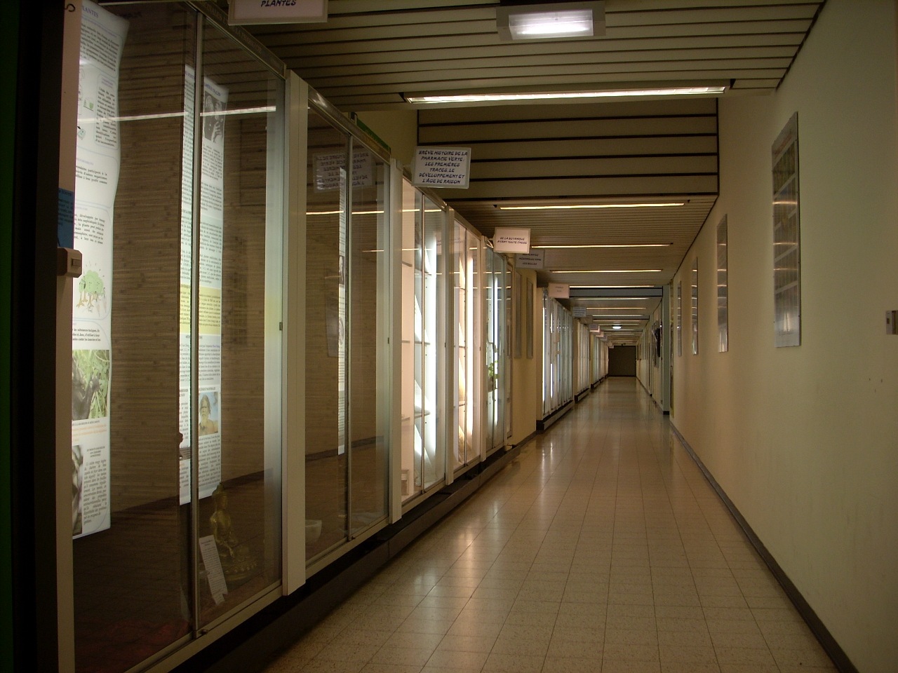 Musée des plantes médicinales et de la Pharmacie, ULB, Brussels - 02.JPG