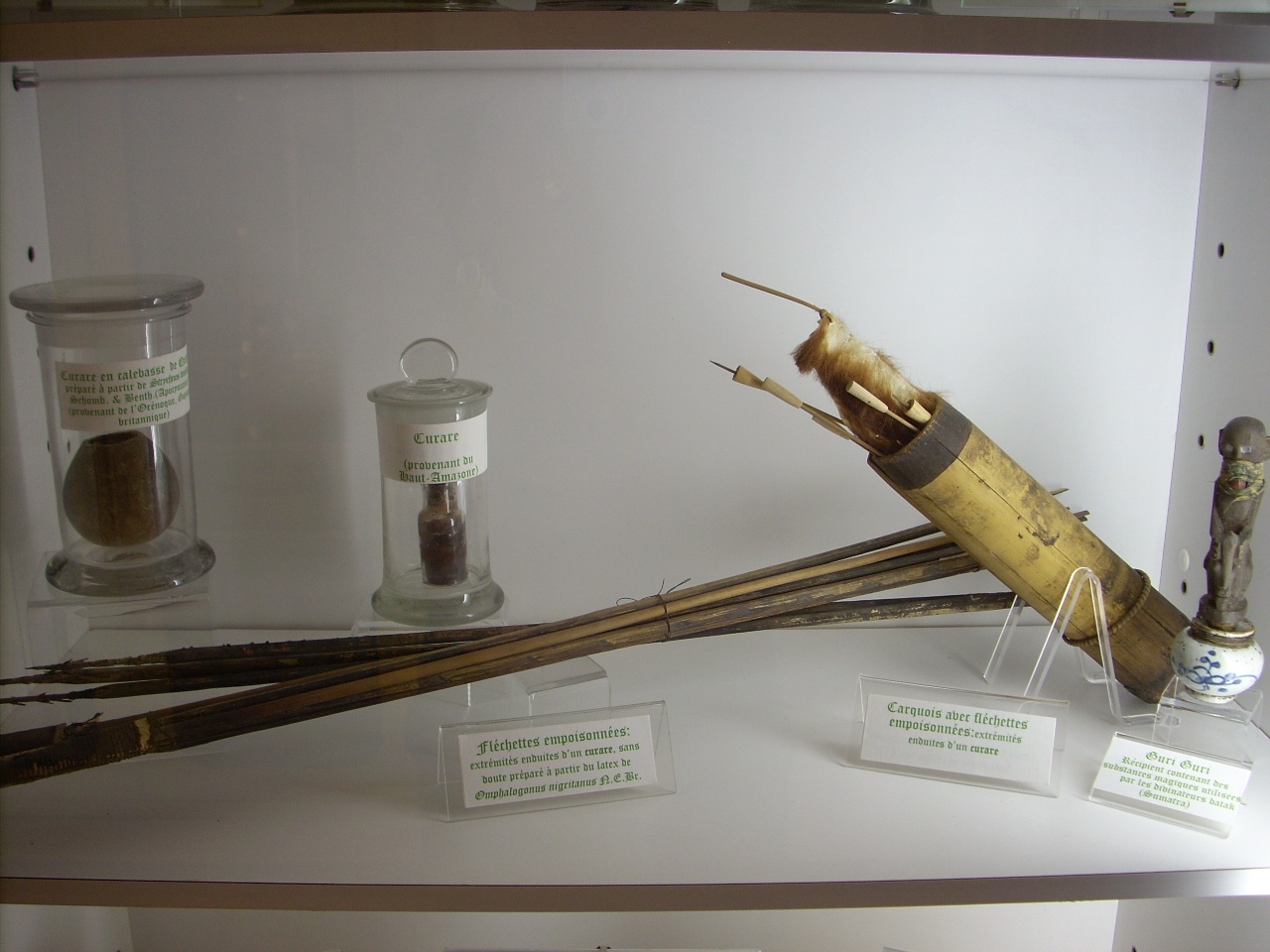 Musée des plantes médicinales et de la Pharmacie, ULB, Brussels - 04.JPG