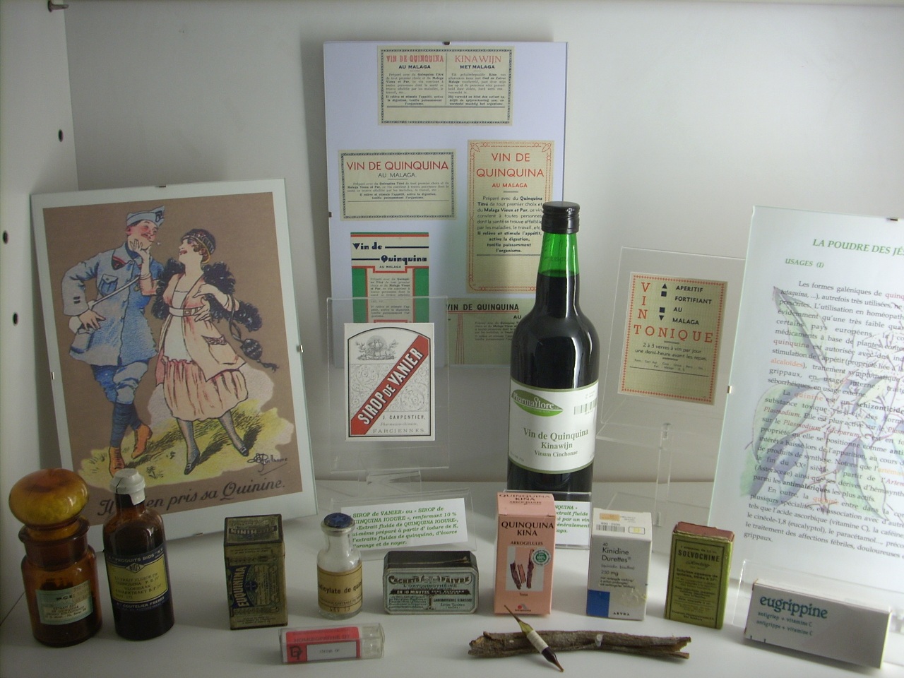 Musée des plantes médicinales et de la Pharmacie, ULB, Brussels - 06.JPG