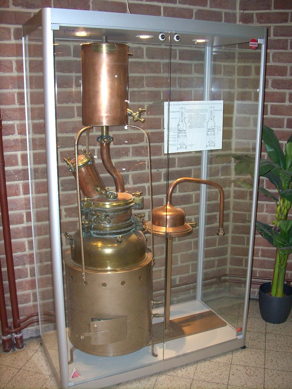 Musée des plantes médicinales et de la Pharmacie, ULB, Brussels - 09.JPG
