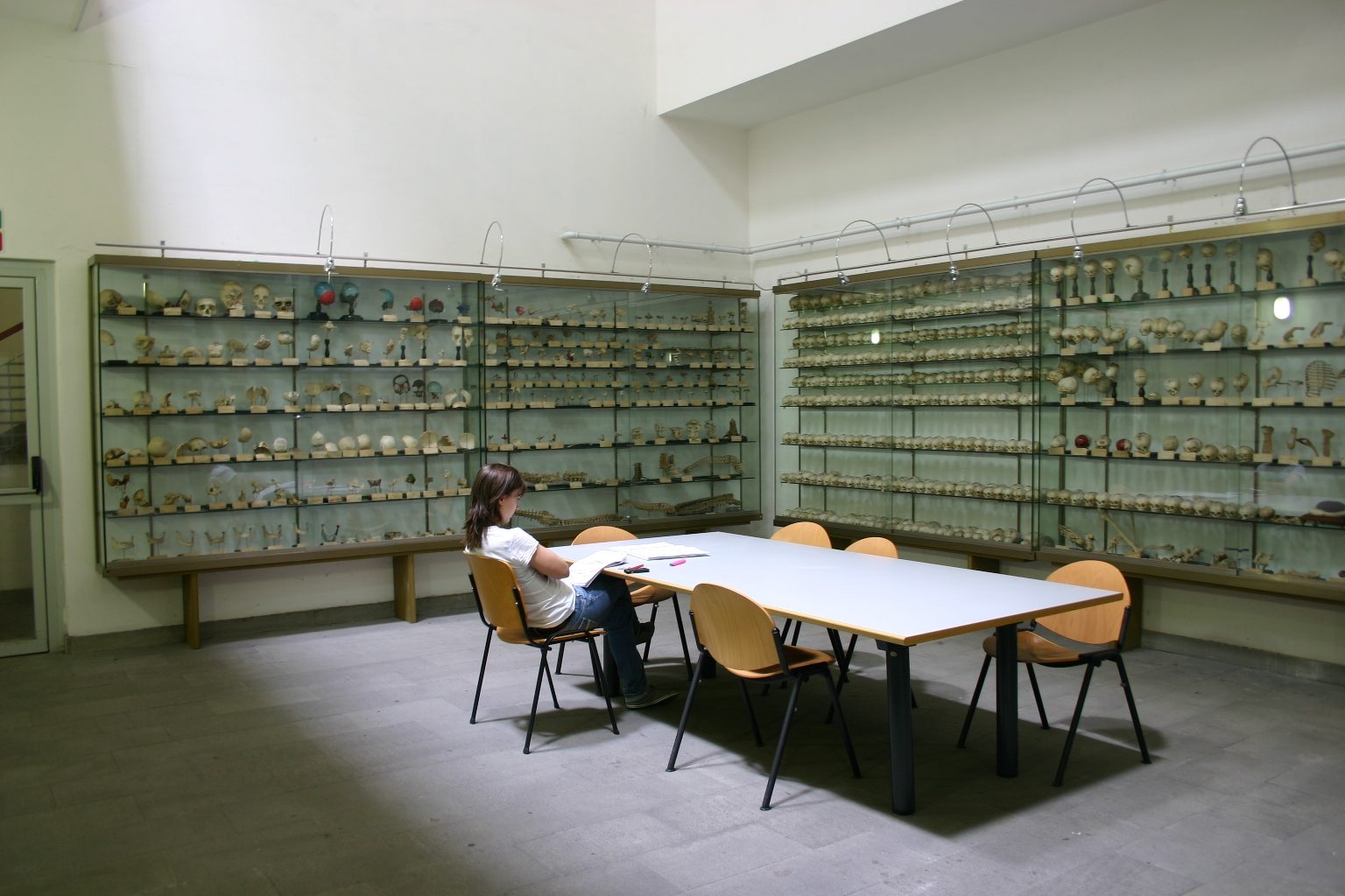 Museo%20Anatomico%2C%20Siena%2C%20Italy%20-%2002.JPG