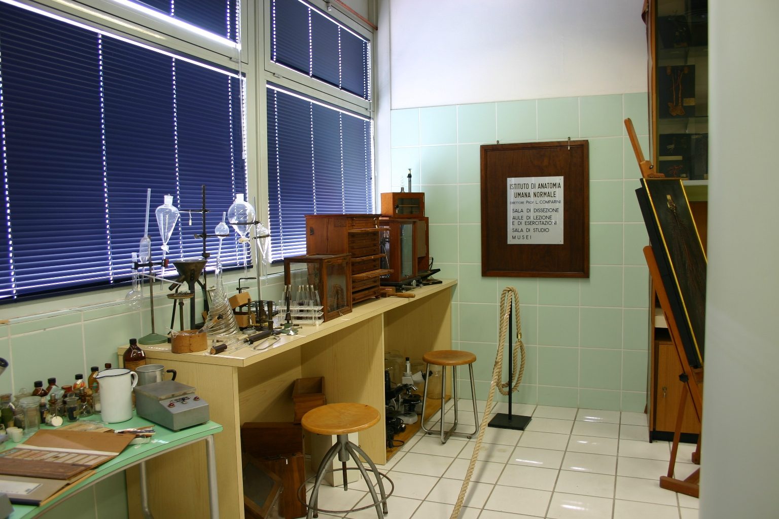 Museo%20Anatomico%2C%20Siena%2C%20Italy%20-%2009.JPG