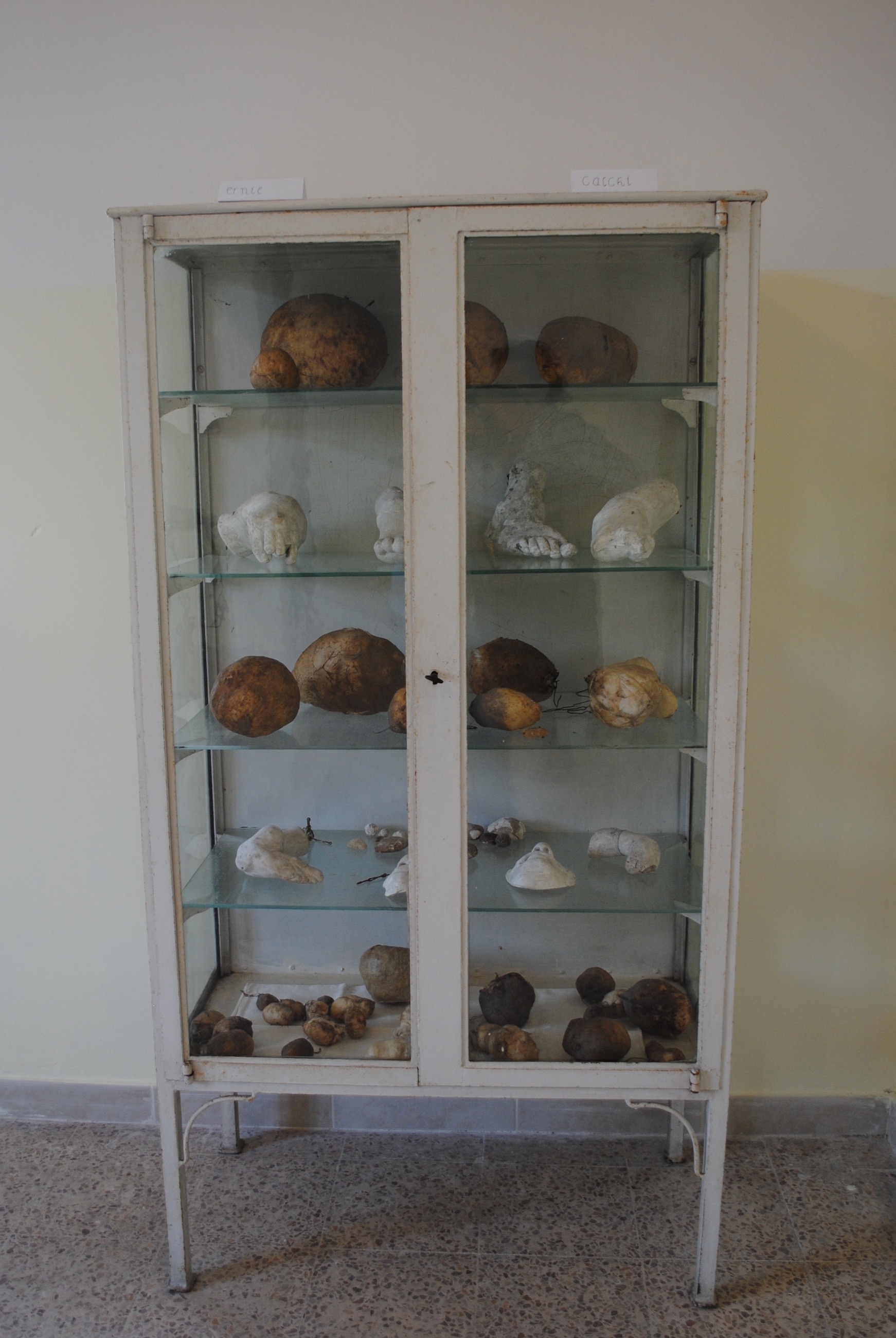 Pasquale%20Castiglione%20Morelli%20surgical%20Museum%2C%20Vallelonga%20%20%2813%29.jpg