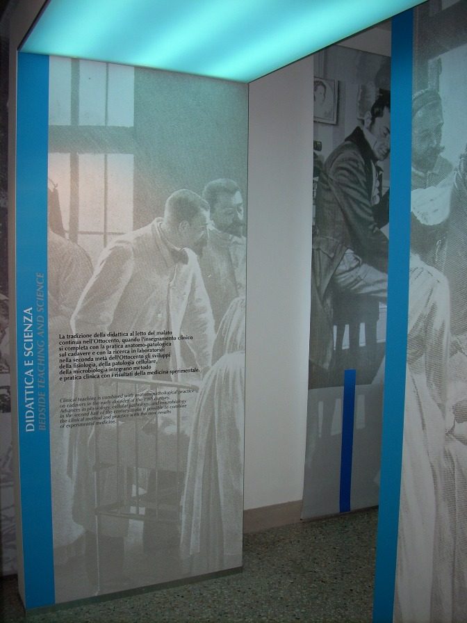 Museo%20di%20Storia%20della%20Medicina%2C%20La%20Sapienza%2C%20Rome%20-%2030.JPG
