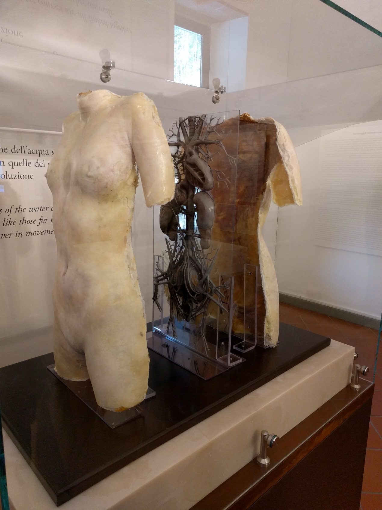 Museo%20Leonardiano%20in%20Vinci%20%281%29.jpg
