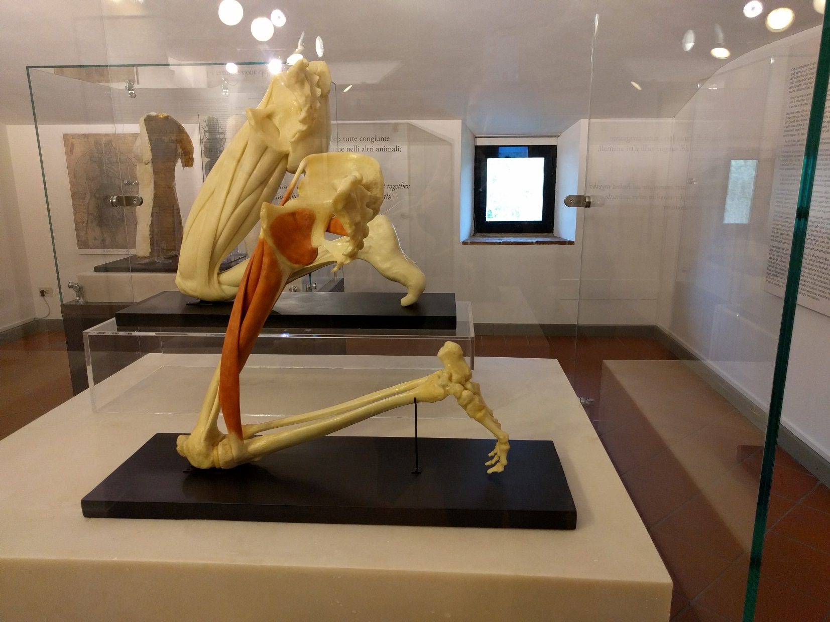 Museo%20Leonardiano%20in%20Vinci%20%282%29.jpg