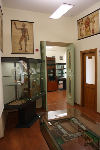 Museo Roberto Papi 5.jpg