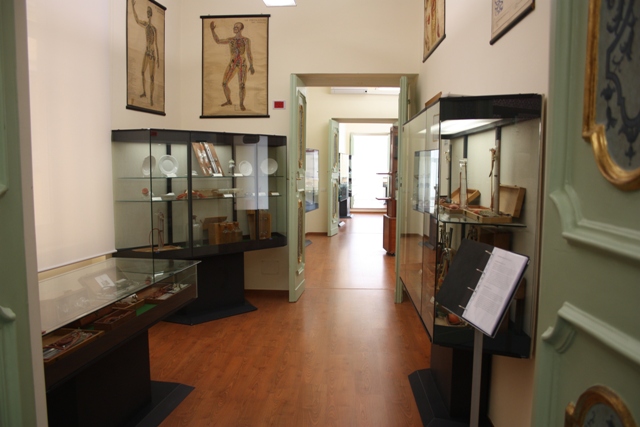 Museo Roberto Papi 6.jpg