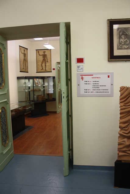 Museo Roberto Papi 7.jpg