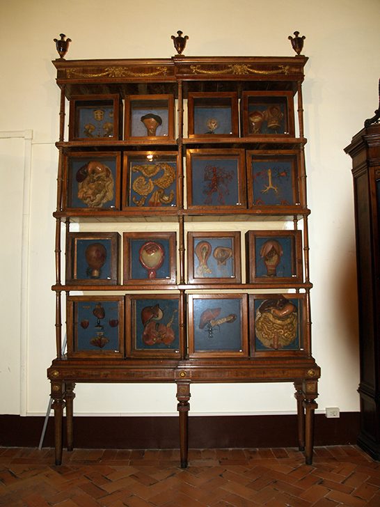 Museo Storico Nazionale dell'Arte Sanitaria, Roma (3)(1).jpg