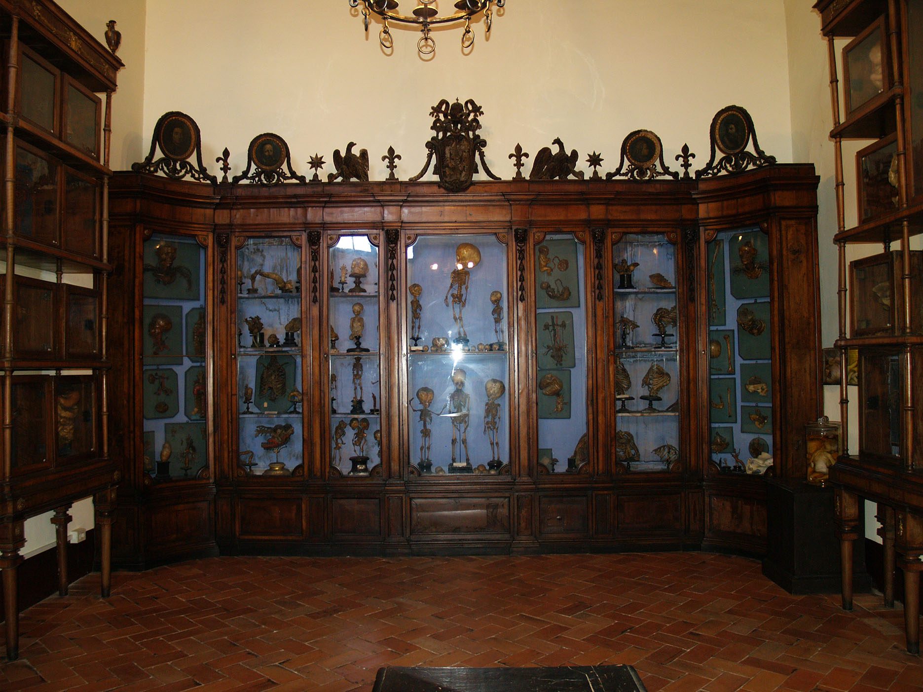 Museo Storico Nazionale dell'Arte Sanitaria, Roma (4)(1).jpg
