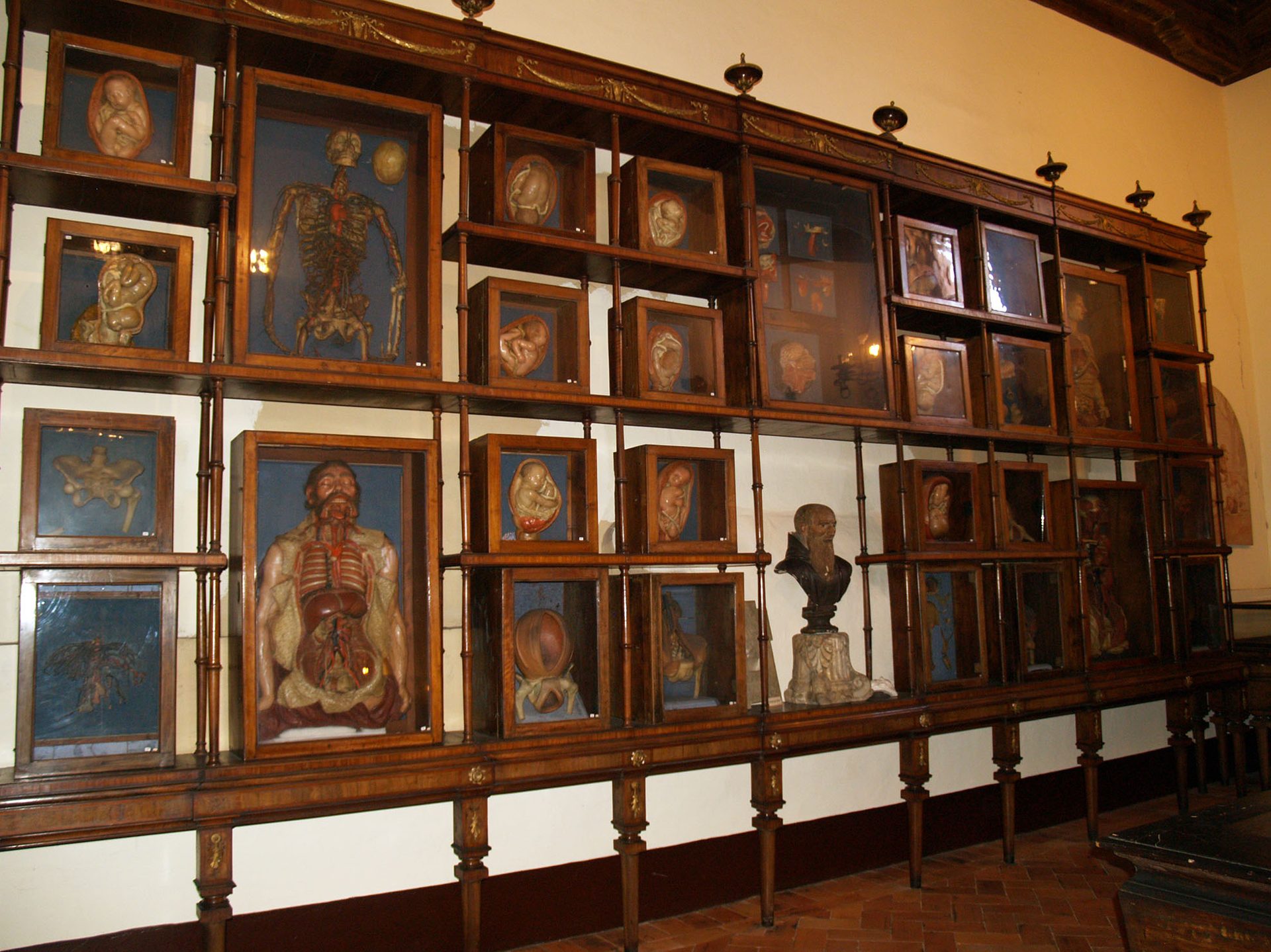 Museo Storico Nazionale dell'Arte Sanitaria, Roma (5)(1).jpg