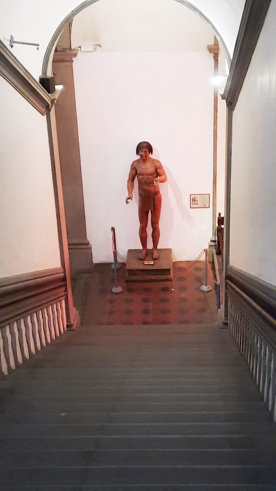 Museum of Anthropology and Ethnology, Florence - 02.jpg