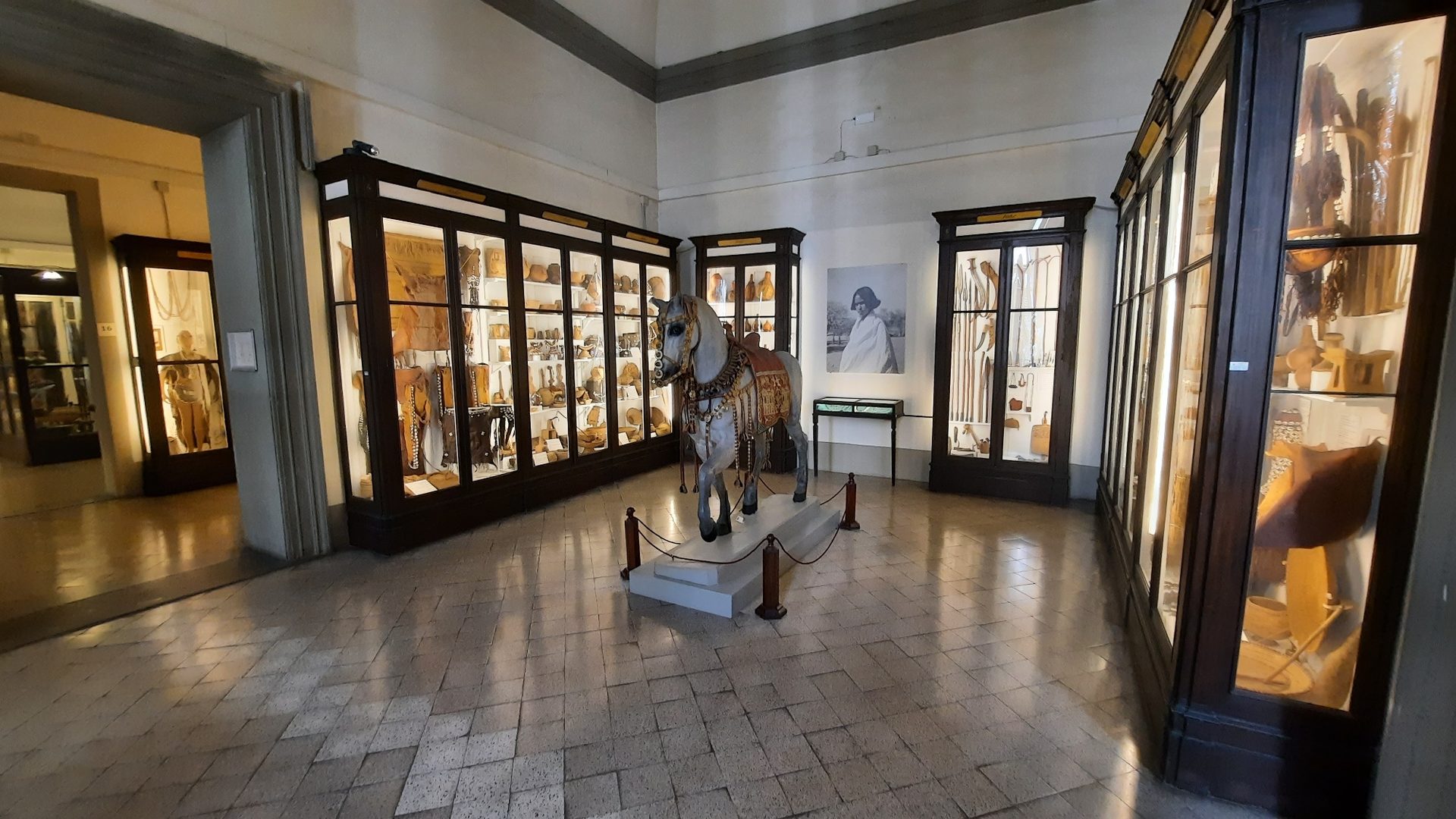 Museum of Anthropology and Ethnology, Florence - 03.jpg