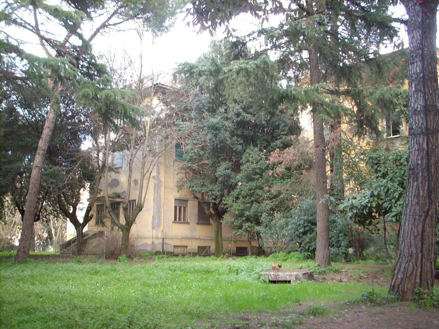 Ex-manicomio di Santa Maria della Pietà, Rome - 08.JPG