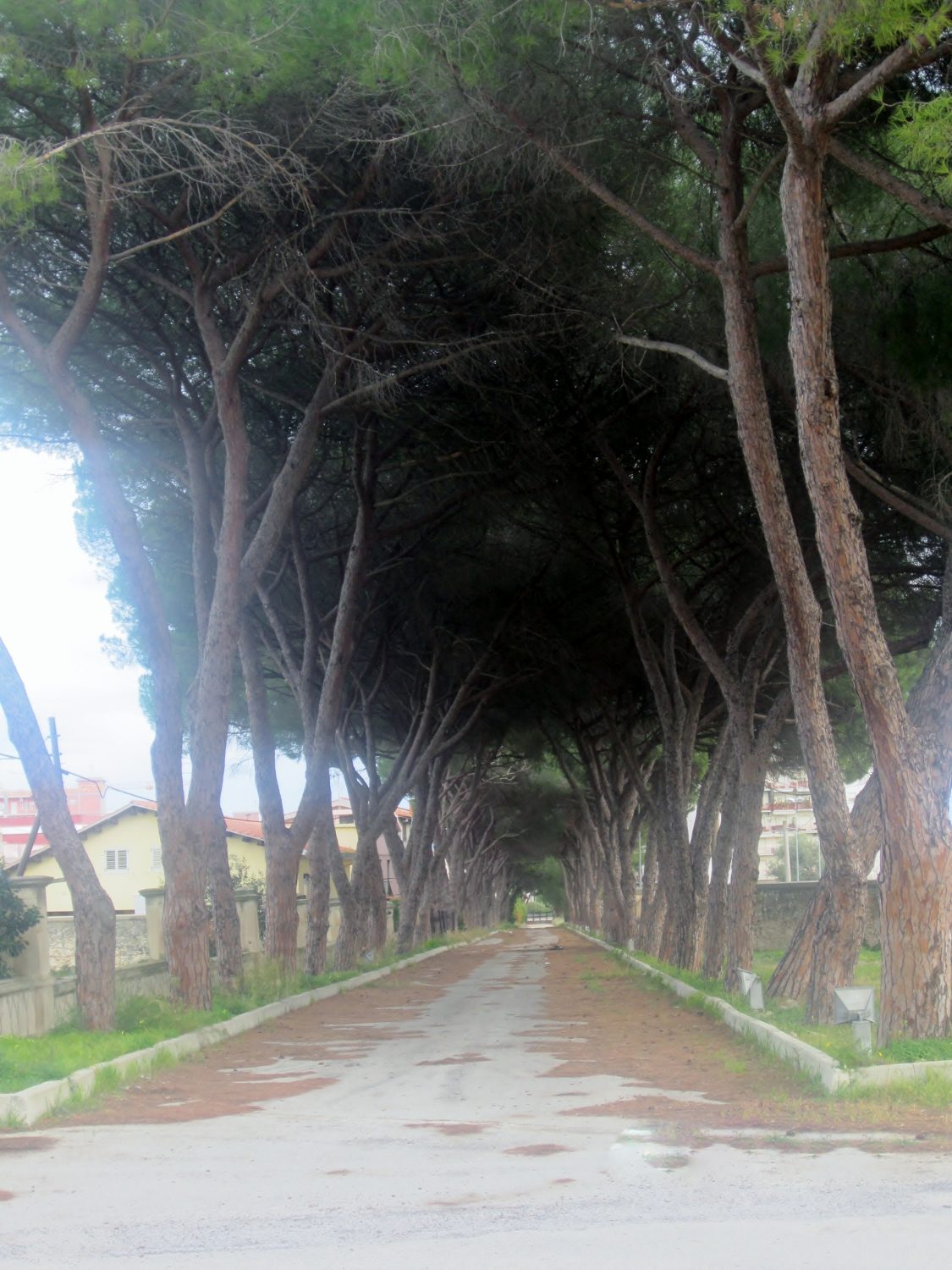 Old%20Ospedale%20Neuropischiatrico%20della%20Pizzuta%20%281%29.jpg