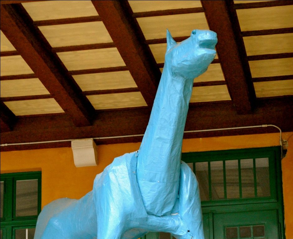 DSC_1119.JPG
