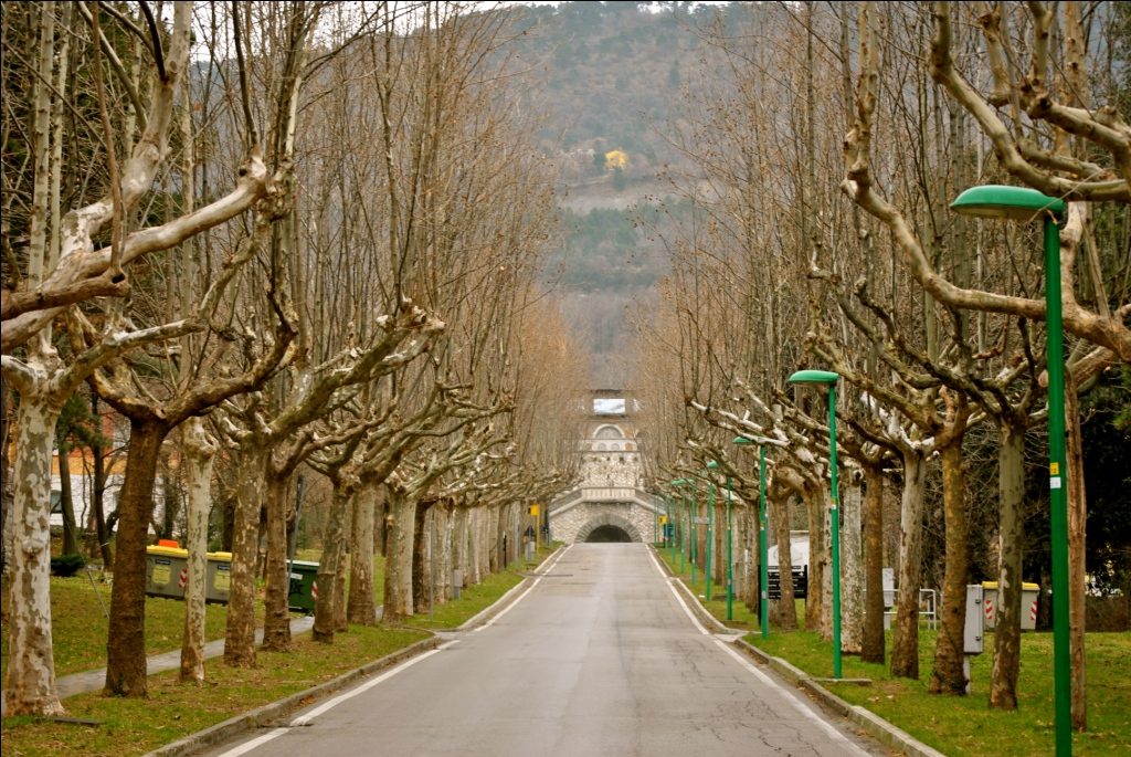 viale.JPG