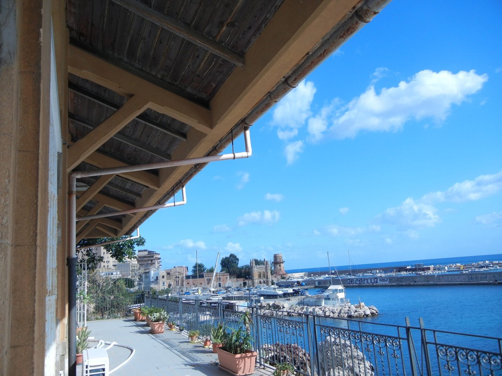 vista dalla direzione sanitaria.JPG