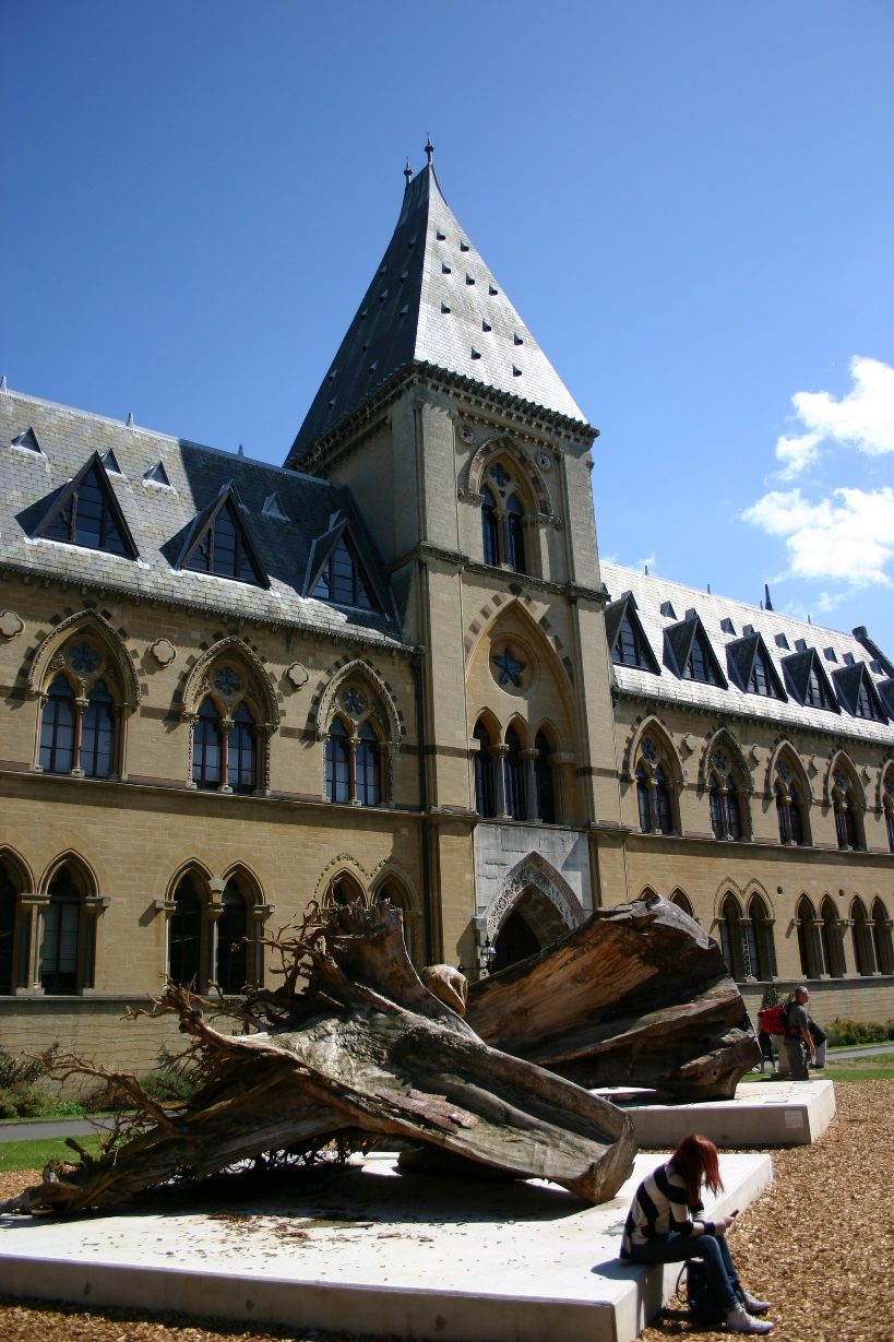 Oxford University Museum of Natural History, Oxford, UK - 02.JPG