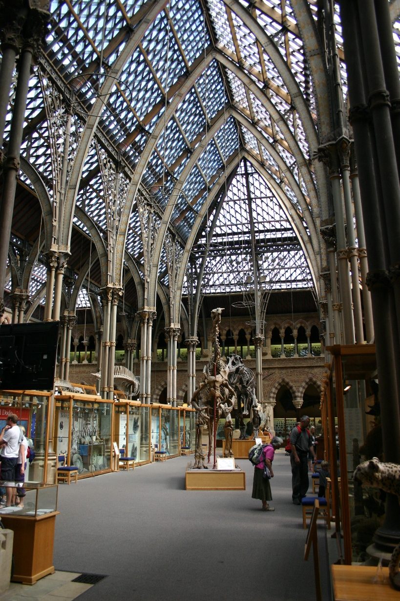Oxford University Museum of Natural History, Oxford, UK - 05.JPG